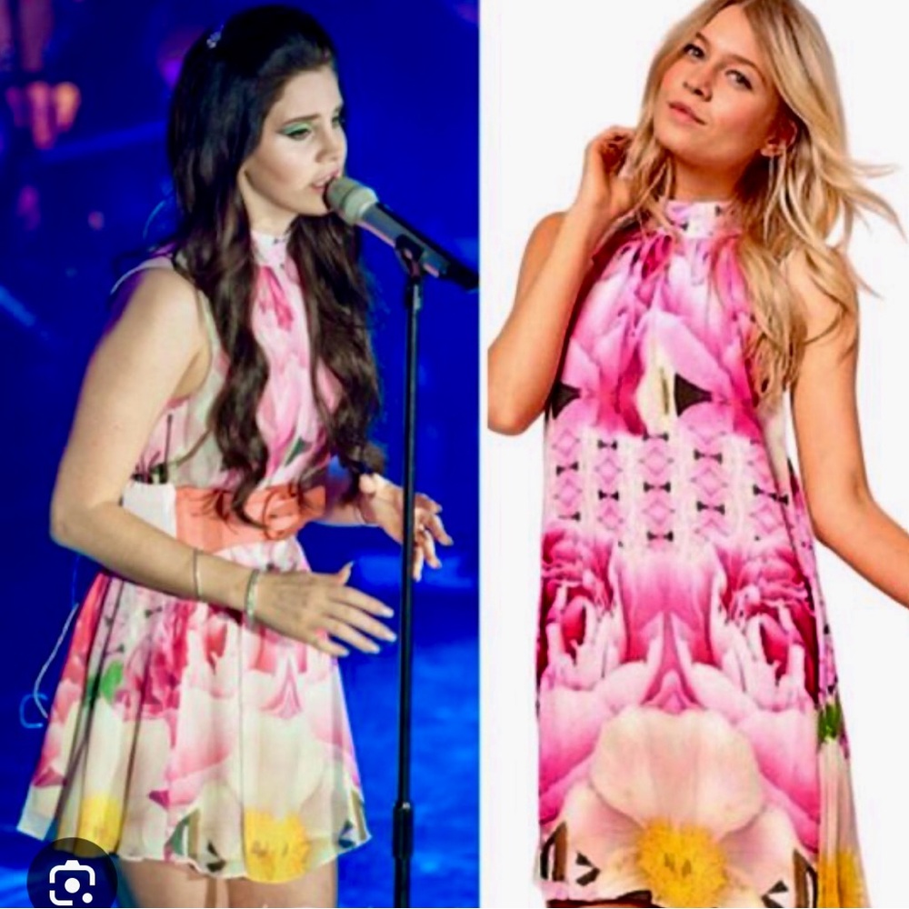 Lana Del Rey / Ted Baker London Pink Floral Mini Dress (M)